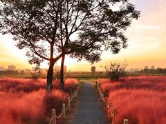 -汉长安城未央宫国家考古遗址公园