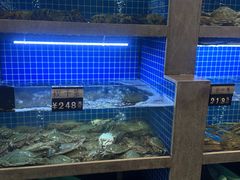 -浙C老邻舍(西城海错店)