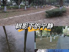 -飞来湖湿地公园