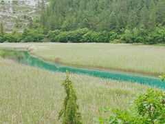 -九寨沟-树正沟