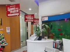 -雅悦齿科(顾村公园店)