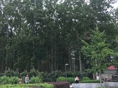 -仁和公园(顺义区)