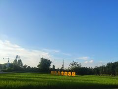 -迪茵湖田家舍生态农场