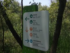 -西湖风景区-江洋畈生态公园