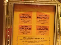 -拉斯维加斯永利酒店