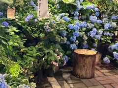 -花二家·生活馆(六运小区店)