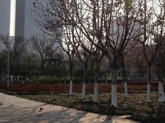 -白塘生态植物园