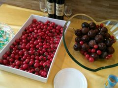 -金掌勺东北菜(格兰晴天店)