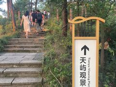 -千岛湖天屿景区