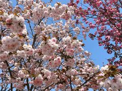 -利群胶州购物广场(澳门路店)