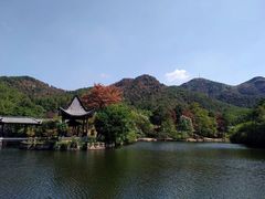 -黄陂区野村谷景区