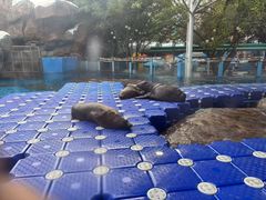 -海合安成都极地海洋公园