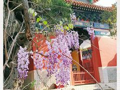 -孔庙和国子监博物馆