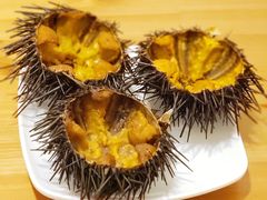 烤海胆-海胆小馆(春柳店)