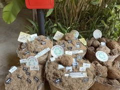 -大象粑粑造纸公园