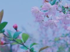 -黄兴公园