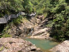 -广州白江湖森林公园