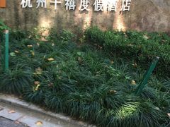 -拾溪餐厅·包厢(杭州千禧度假酒店)