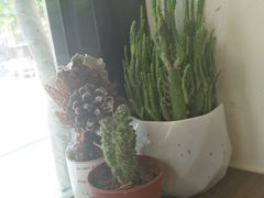 -Poke lemon海鲜波奇饭·柠檬茶(金碧开放小区店)