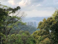 -阳台山森林公园