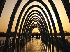 -大兴滨河森林公园