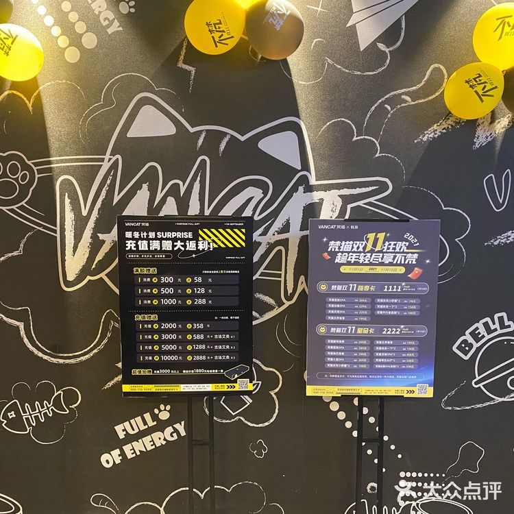 梵猫—全国小资养生spa连锁