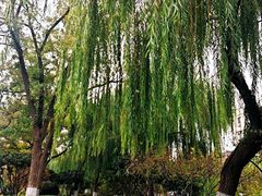 -泉客厅LAPUTA·天空之城