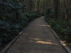 -同里国家湿地公园