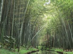 -同里国家湿地公园