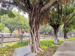 -晓港公园