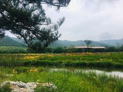 -塞罕坝国家级自然保护区