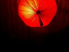 -北纬37°SPA养身会馆(湖西店)