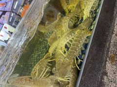 -顺德了能馆(虎门店)