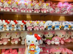 -安吉Hello Kitty乐园