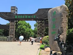 -溱湖国家湿地公园