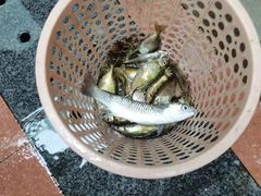 -渔·海鲜餐厅（东澳可域度假村内）南沙湾沙滩店