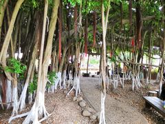 -胡里山炮台