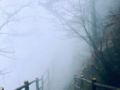 -秦岭天竺山景区