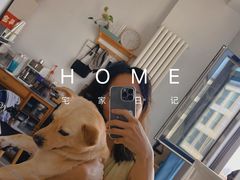 -喜多萌中农锦绣动物医院24H·猫科·牙科MRI·CT
