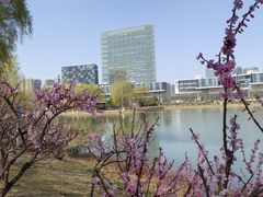 -大兴滨河森林公园