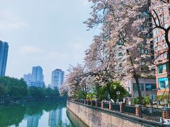 -成都市活水公园