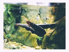 -福州罗源湾海洋世界旅游区