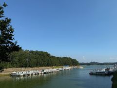 -南湾湖