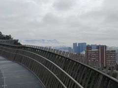 -福道