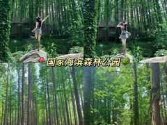 -万象汇