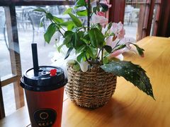-韬光茶庵