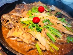 -老板恋上鱼(恒隆广场店)