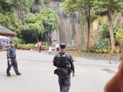 -野象谷景区