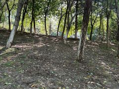 -莫子山公园