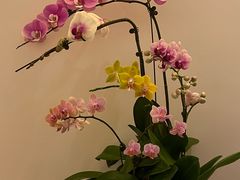 -大连君悦酒店 · VIVA(星海广场店)
